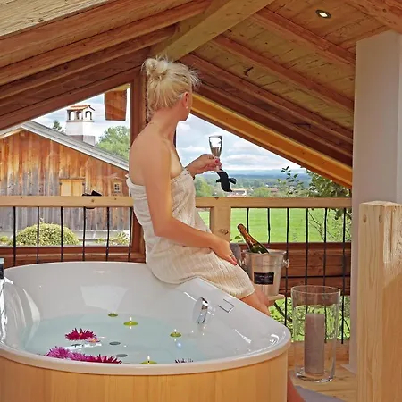 Tatil Evi Alm-chalet-chiemsee *